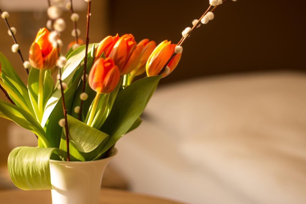 Hotel Heldt Bad Pyrmont Ngoại thất bức ảnh